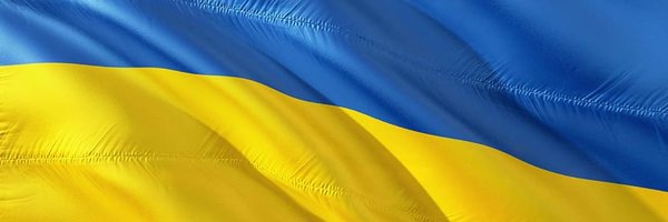 RhonaA_PhD Profile Banner