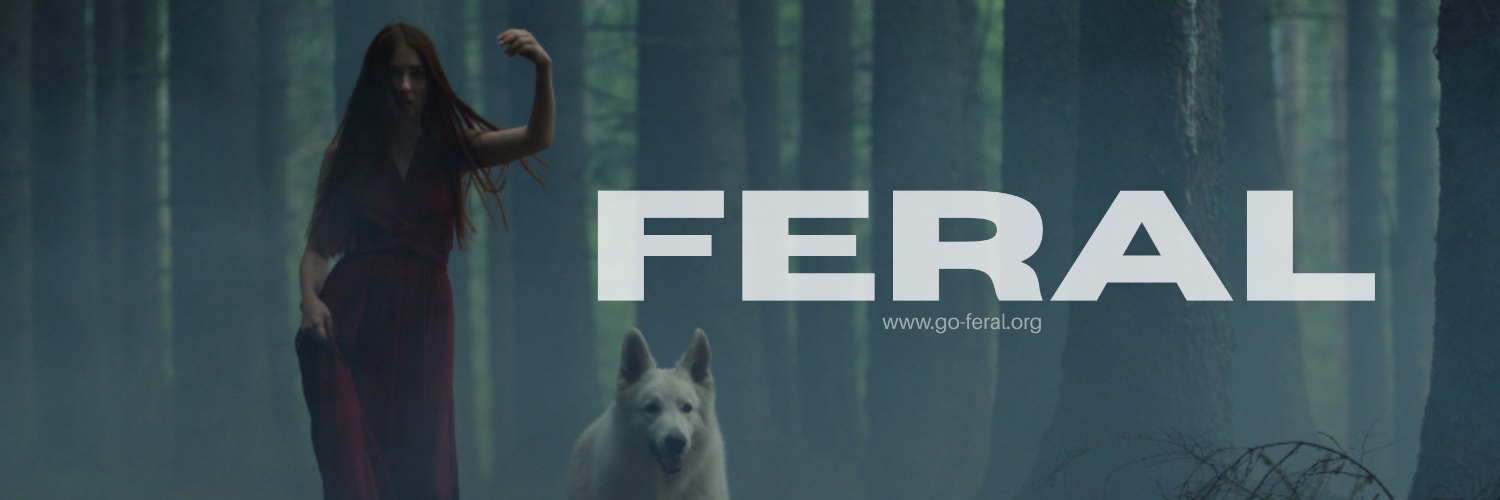 TheFeralOrg's profile banner image