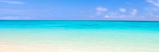 ValentinaFlori3's profile banner image