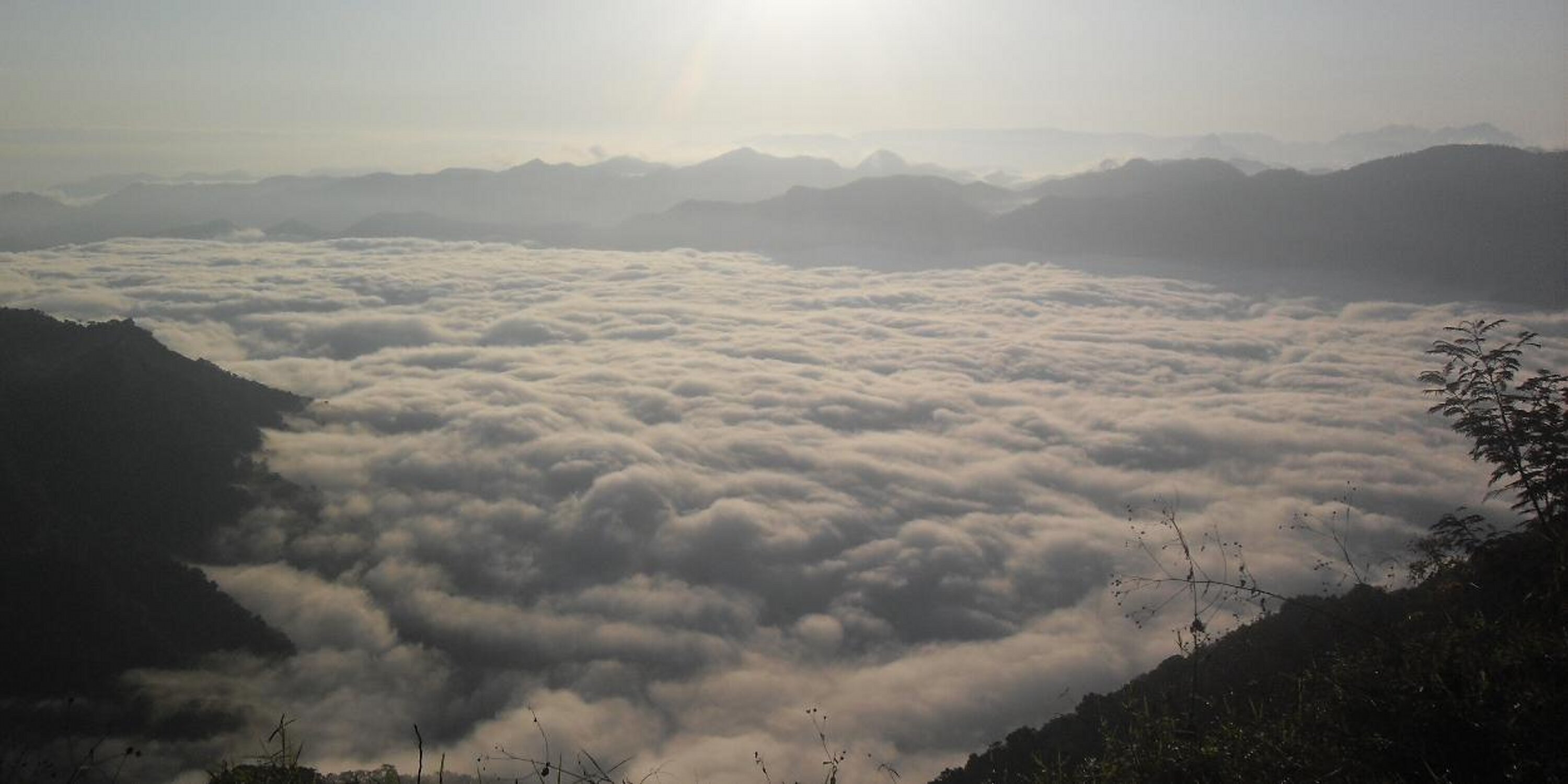 José Maria Covarrubias banner