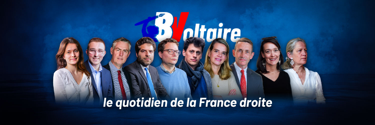 Boulevard Voltaire banner