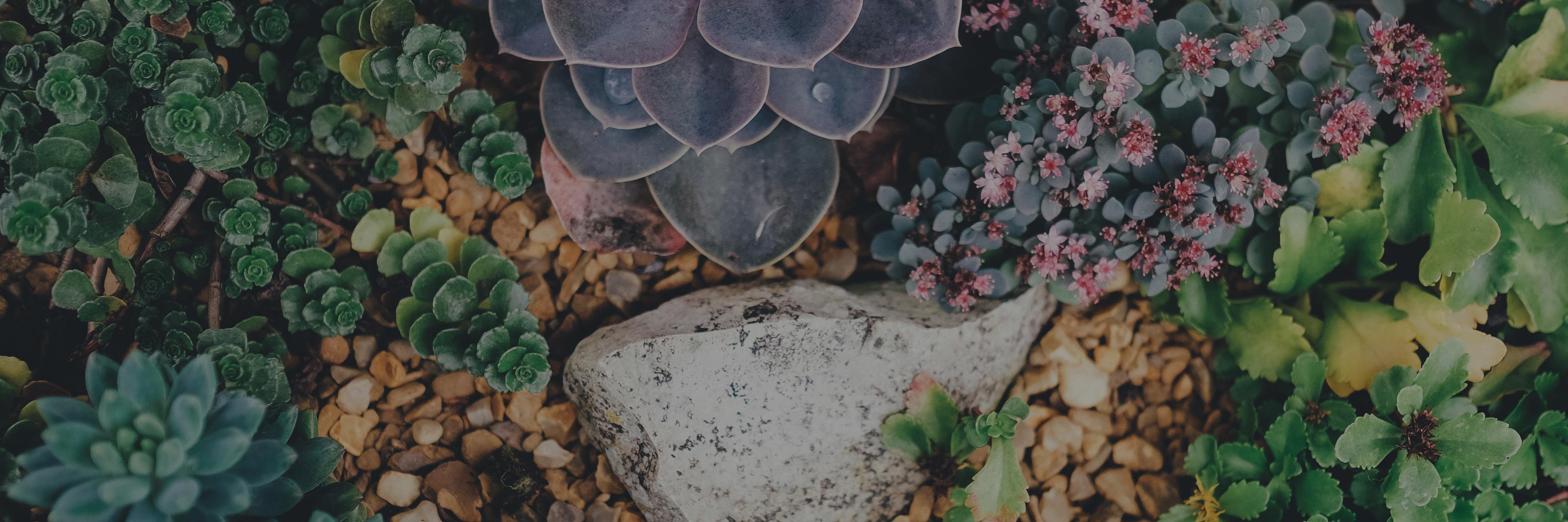 smylo1's profile banner image