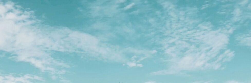 eva banner