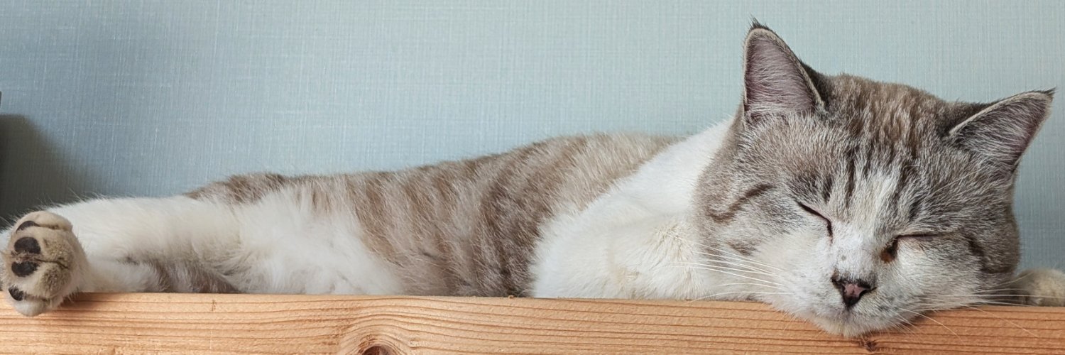 ﾄﾞﾗｲﾌﾞ400 banner