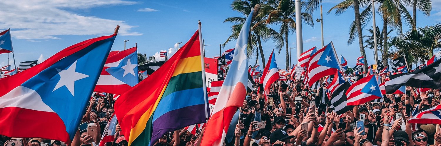 dogcactus's profile banner image