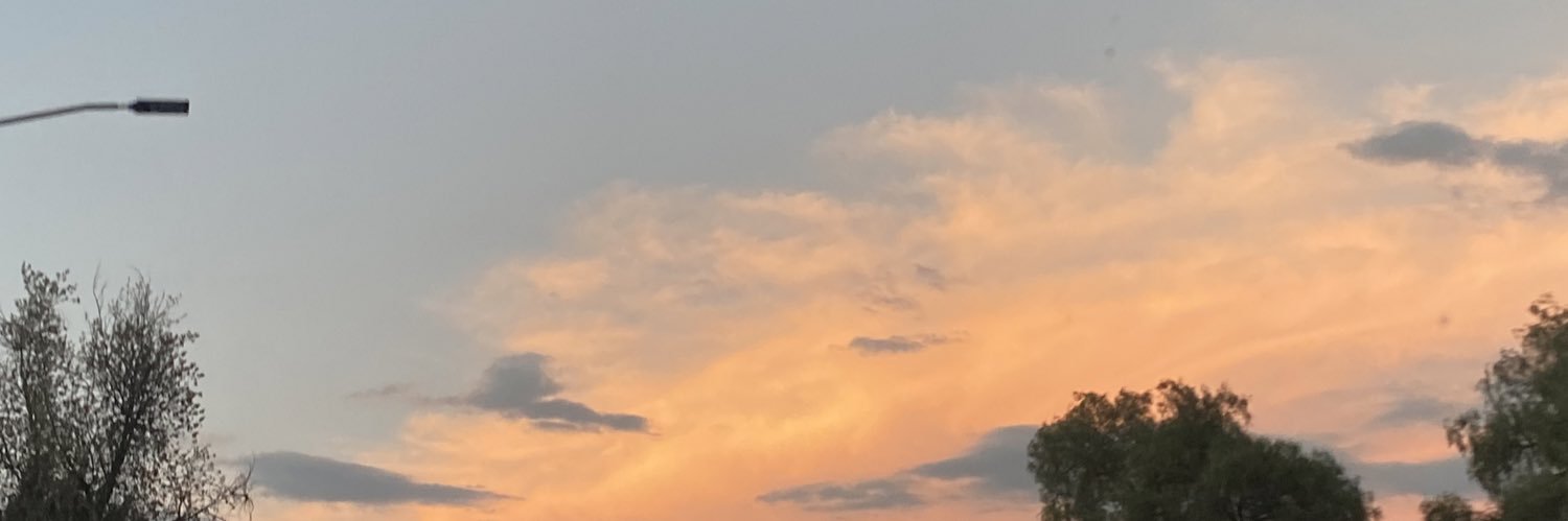 AyShada_'s profile banner image