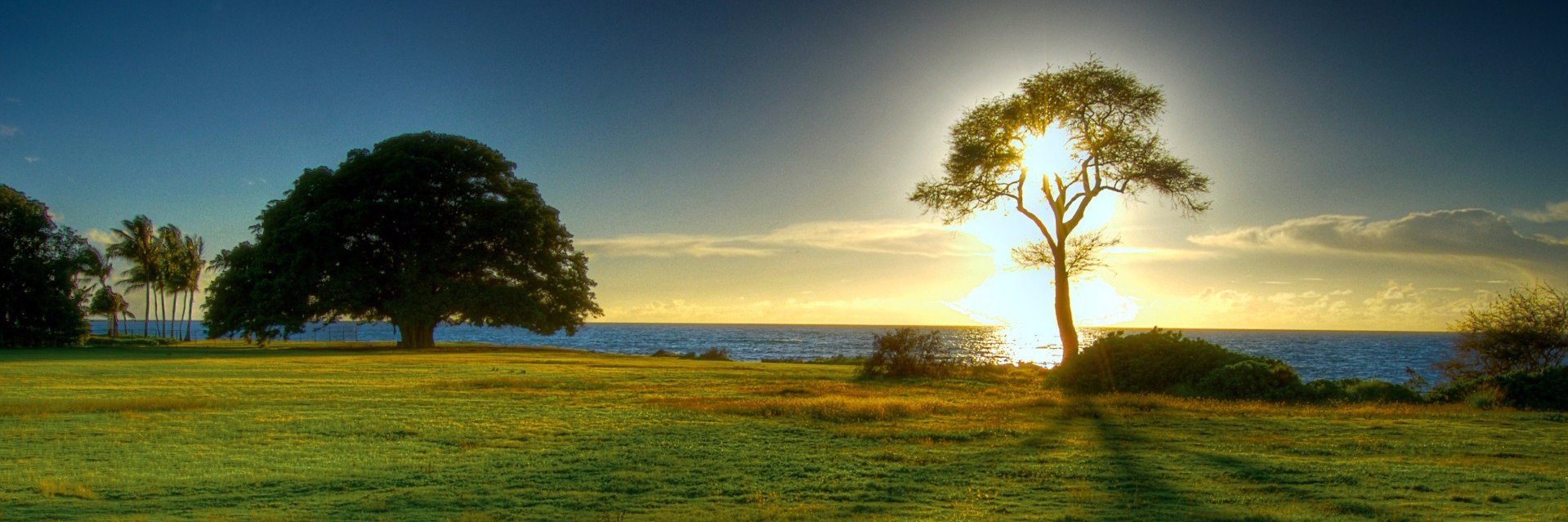 elkgom's profile banner image