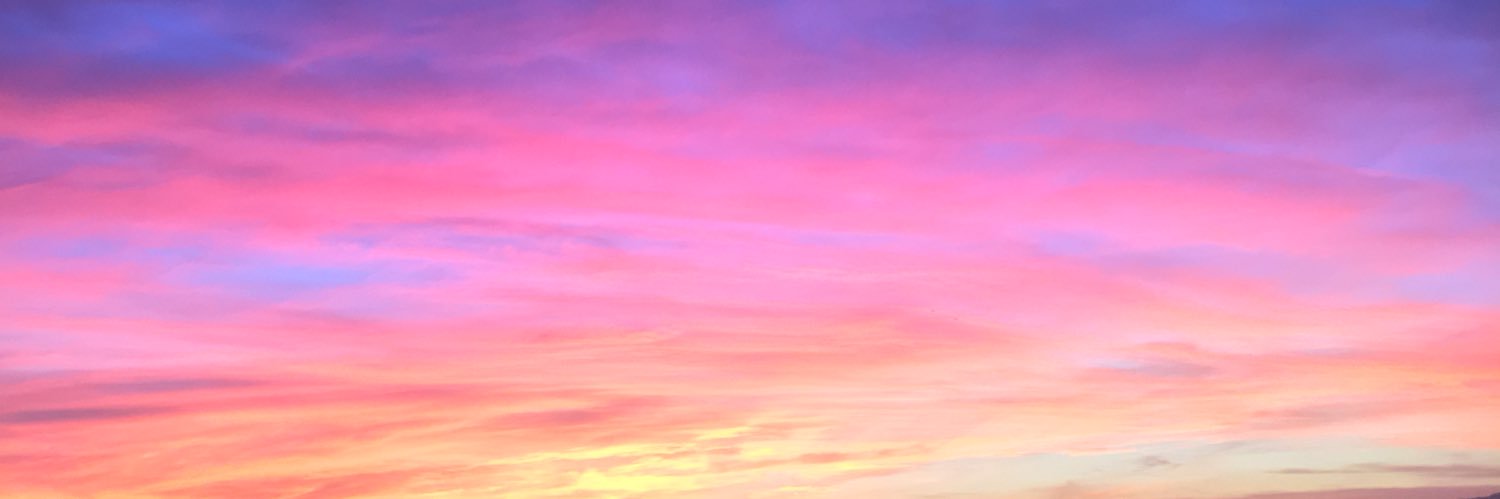 lizannestocks's profile banner image