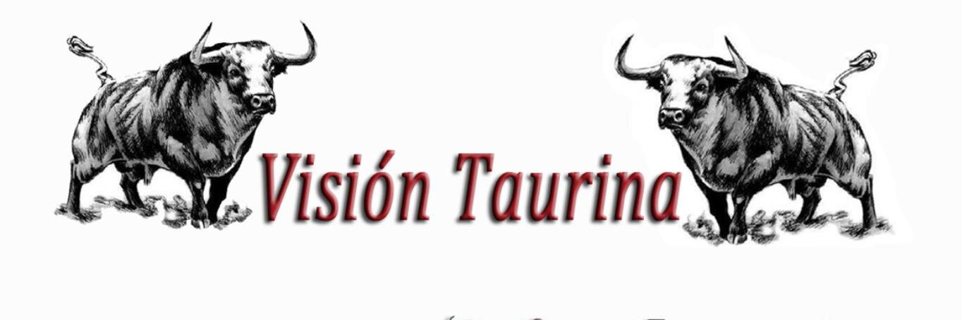 visiontaurina's profile banner image