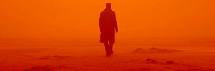 jfredro's profile banner image