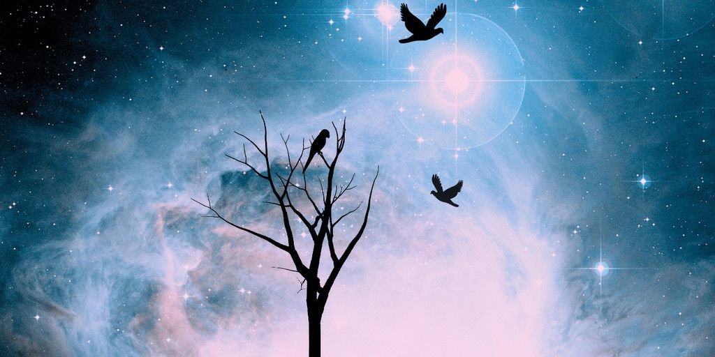 Orbitng's profile banner image