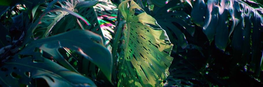 yasunaro's profile banner image