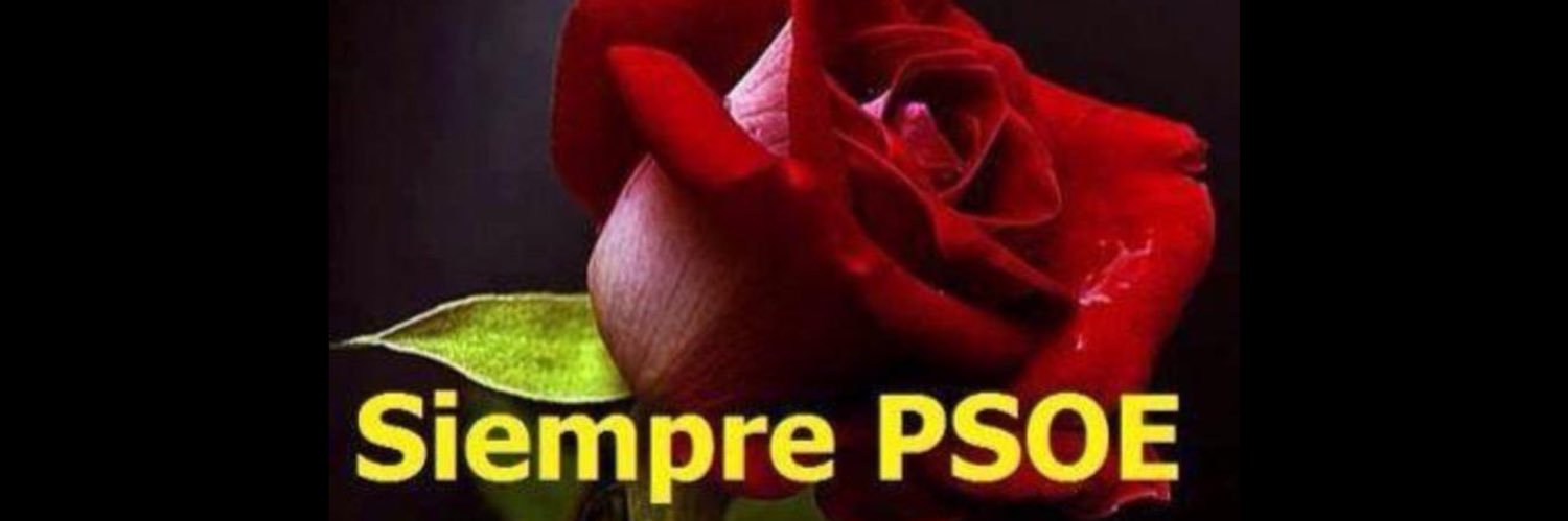 AylaTPVC's profile banner image