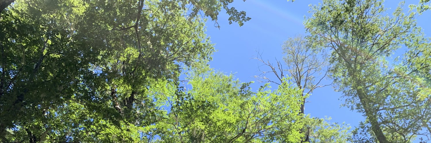 PatricioBarria7's profile banner image