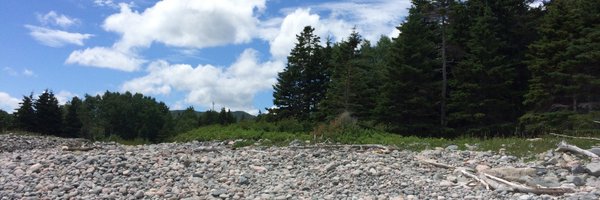 kodger4 Profile Banner