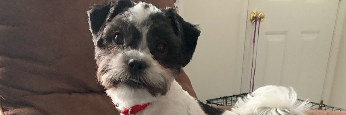 GaryNS1515's profile banner image