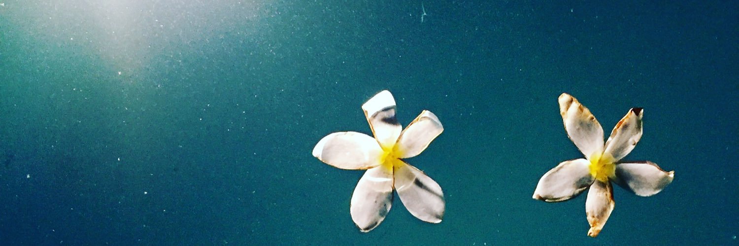 CeManfredi's profile banner image