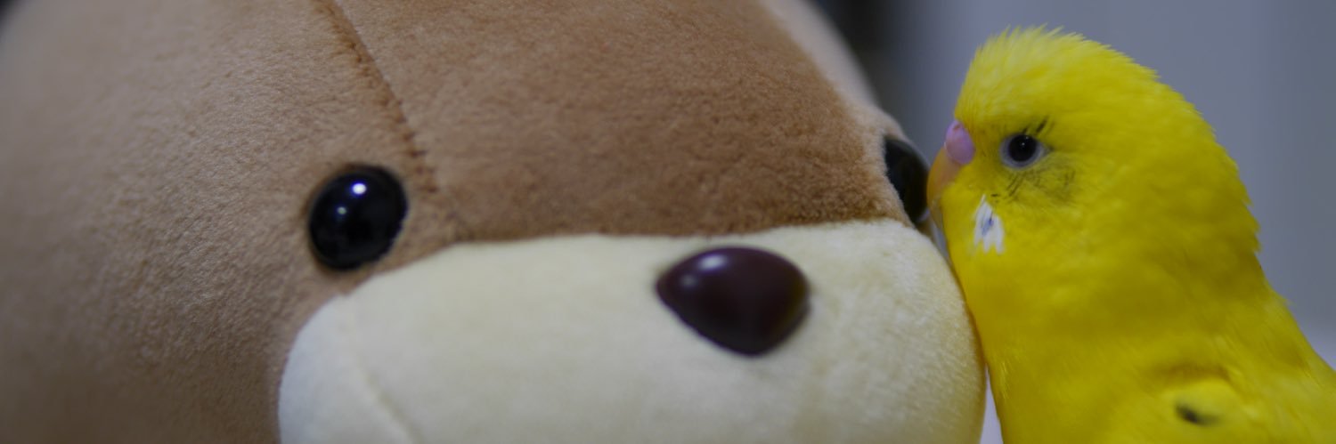 1201ayaka1029's profile banner image