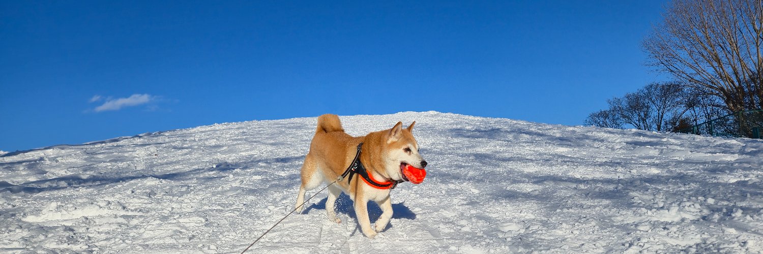 𝑨𝒏𝒈𝒓𝒚𝑪𝒉𝒆𝒍𝒔𝒆 banner