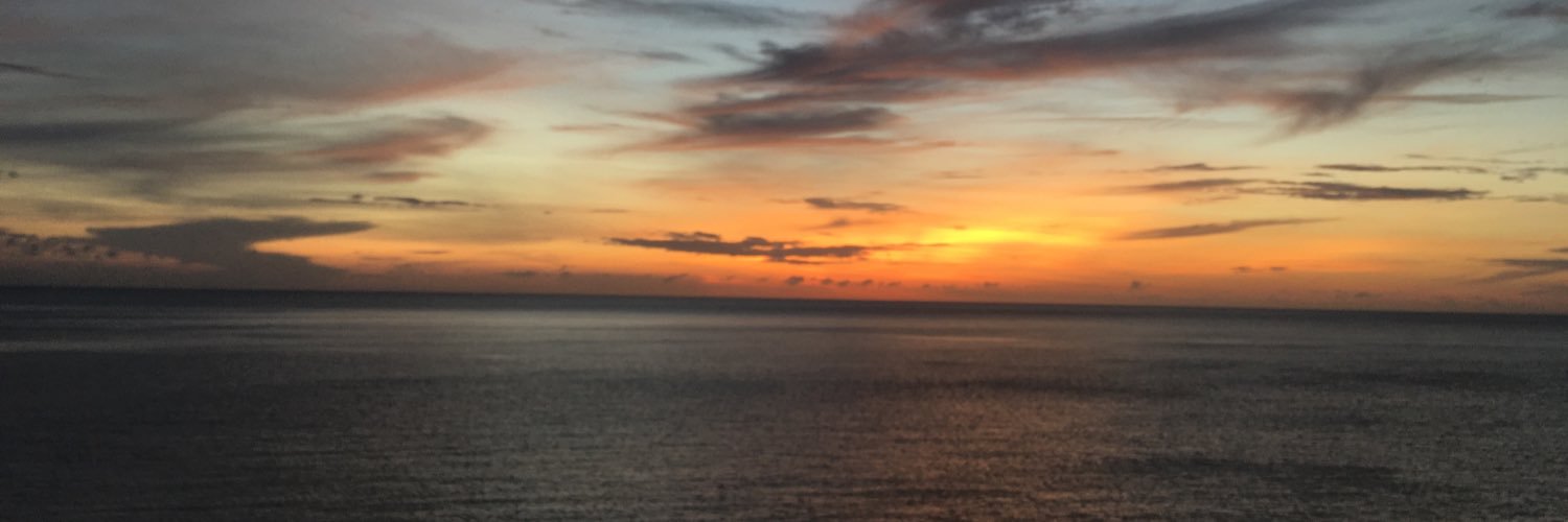 BraveXavier's profile banner image