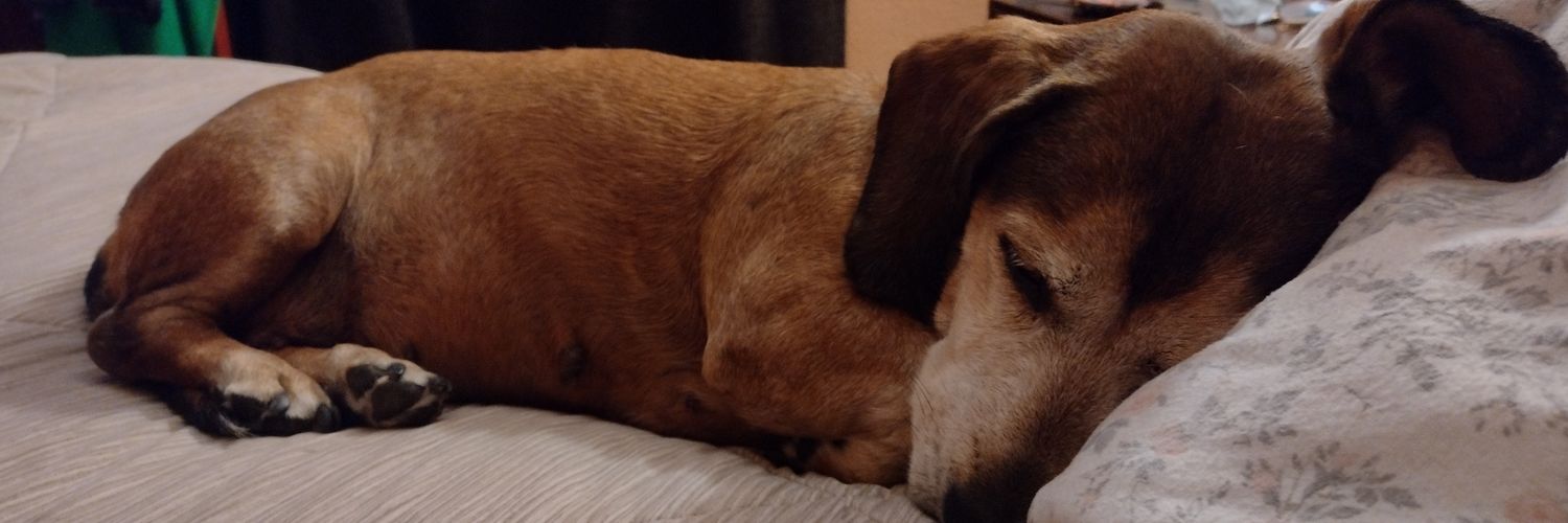 Oscar 🍕🍺 banner