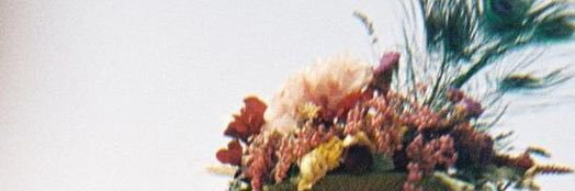 probamanda's profile banner image