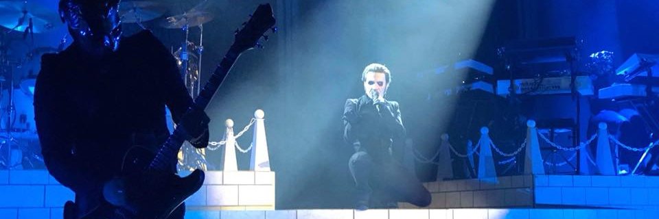 CANewman89's profile banner image