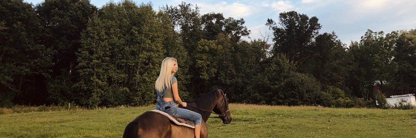 kailshogren's profile banner image