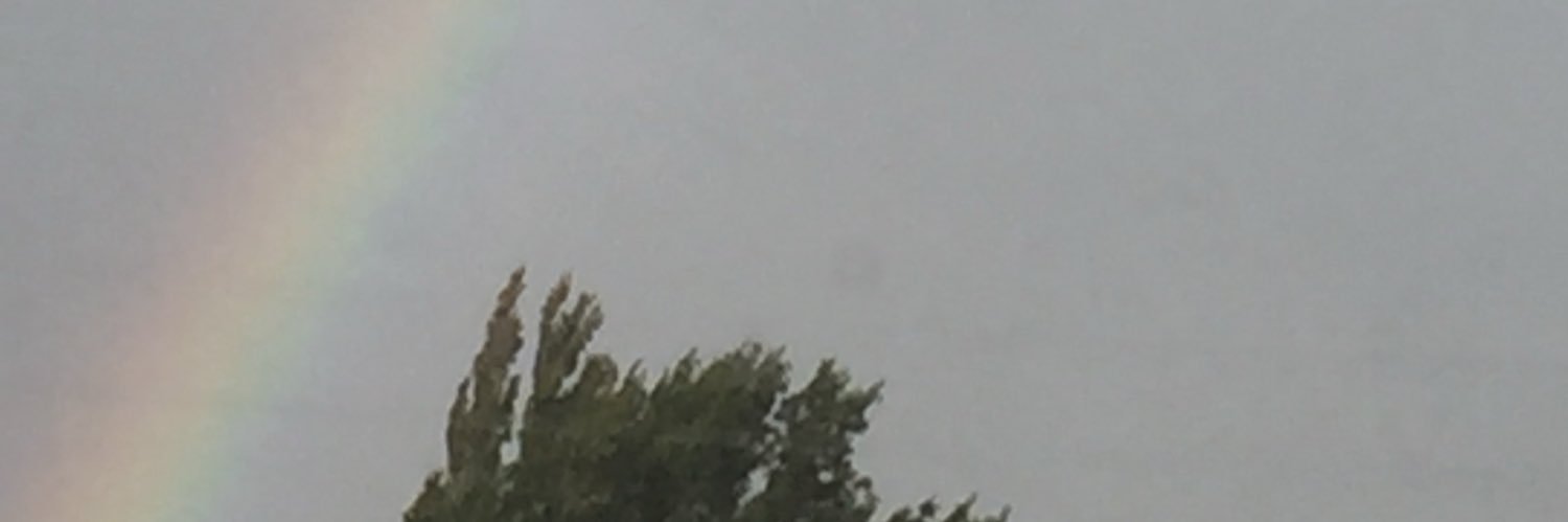 erickvelez5's profile banner image