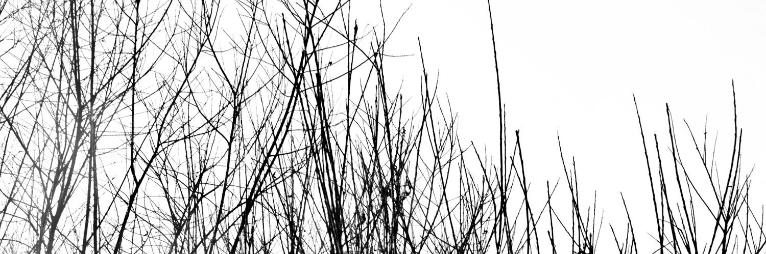 reznor_tequila's profile banner image