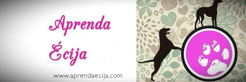 REFUGIOAPRENDA's profile banner image