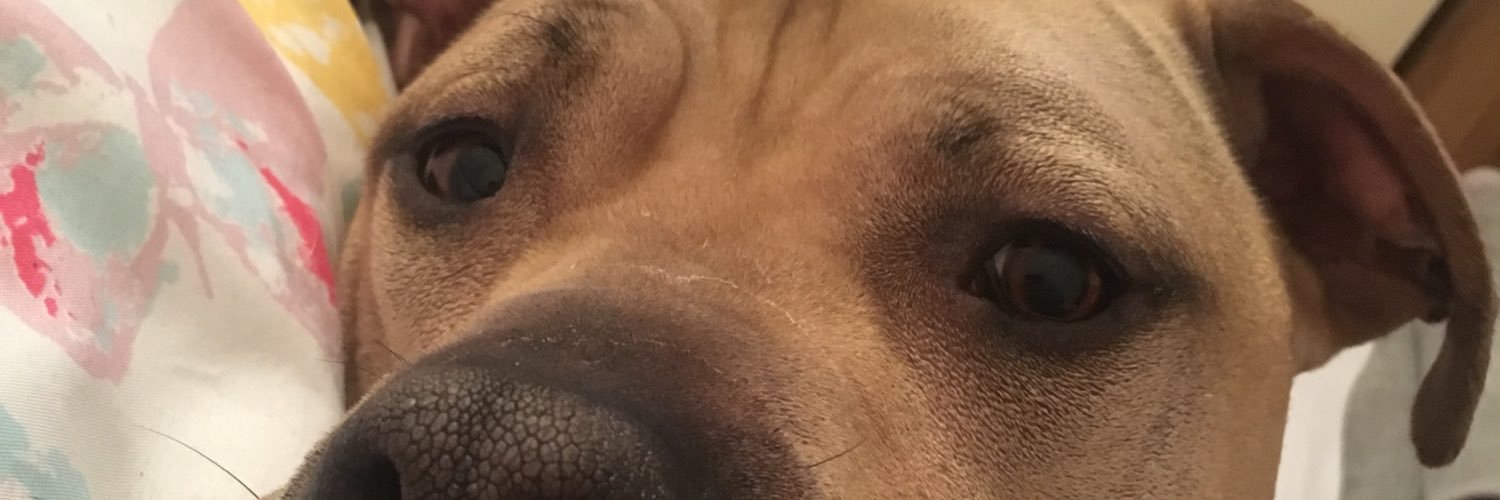 TomWilko18's profile banner image