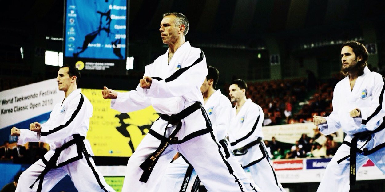 TaekwonDo Federation banner