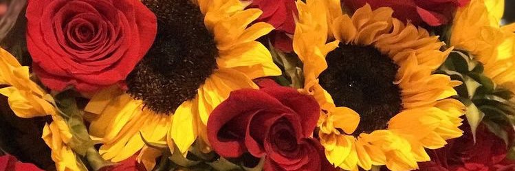 mah_nilly's profile banner image