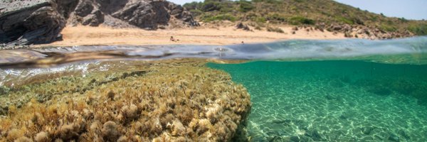 Emma_Cebrian Profile Banner