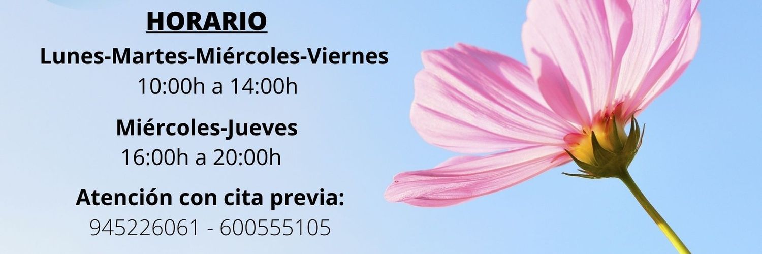 Adelprise Álava banner