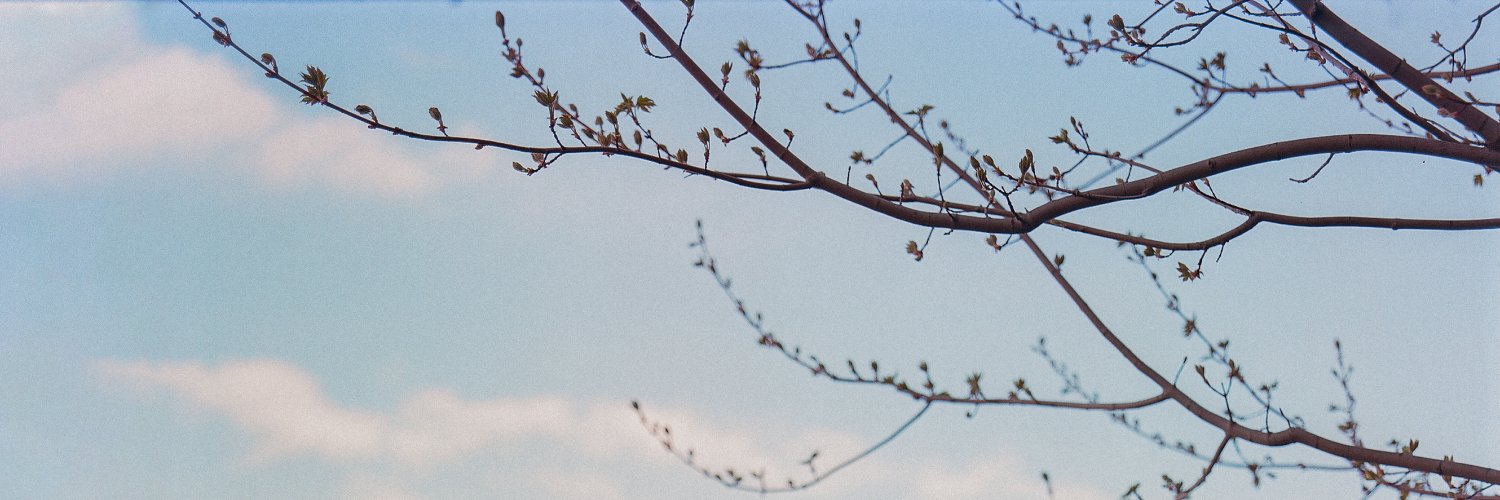 matt mcwaters banner