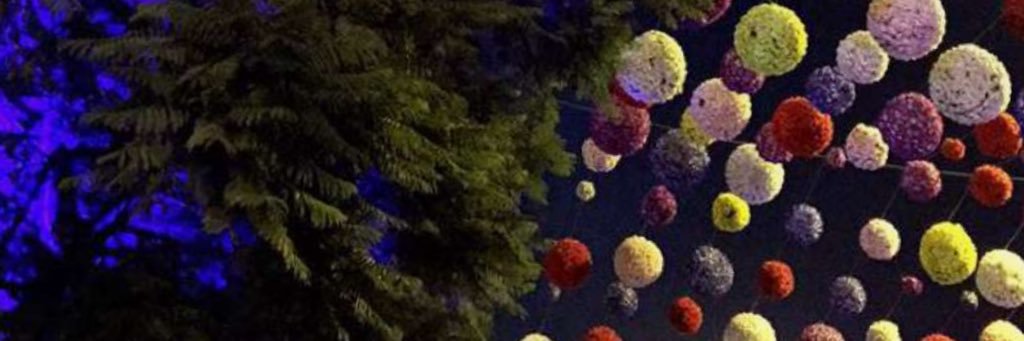 soso4533's profile banner image