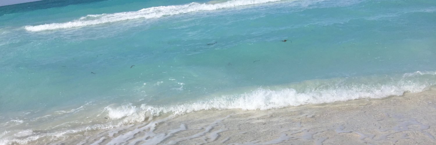 h_brownlee's profile banner image