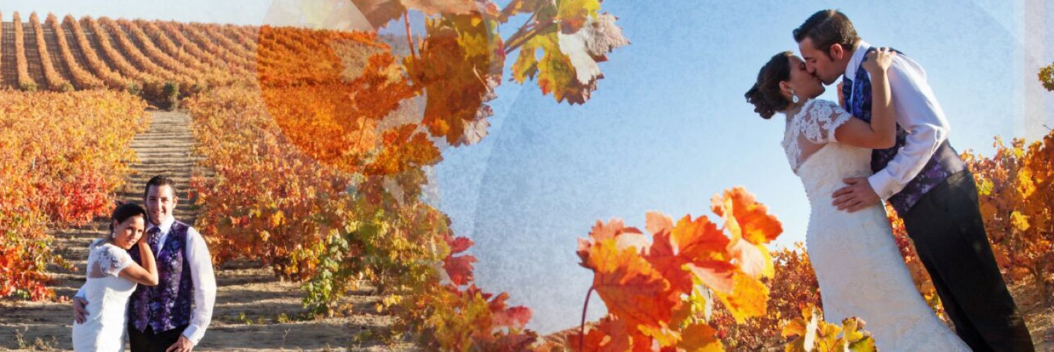 CuchiMuri's profile banner image