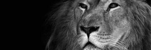 balta77bg's profile banner image