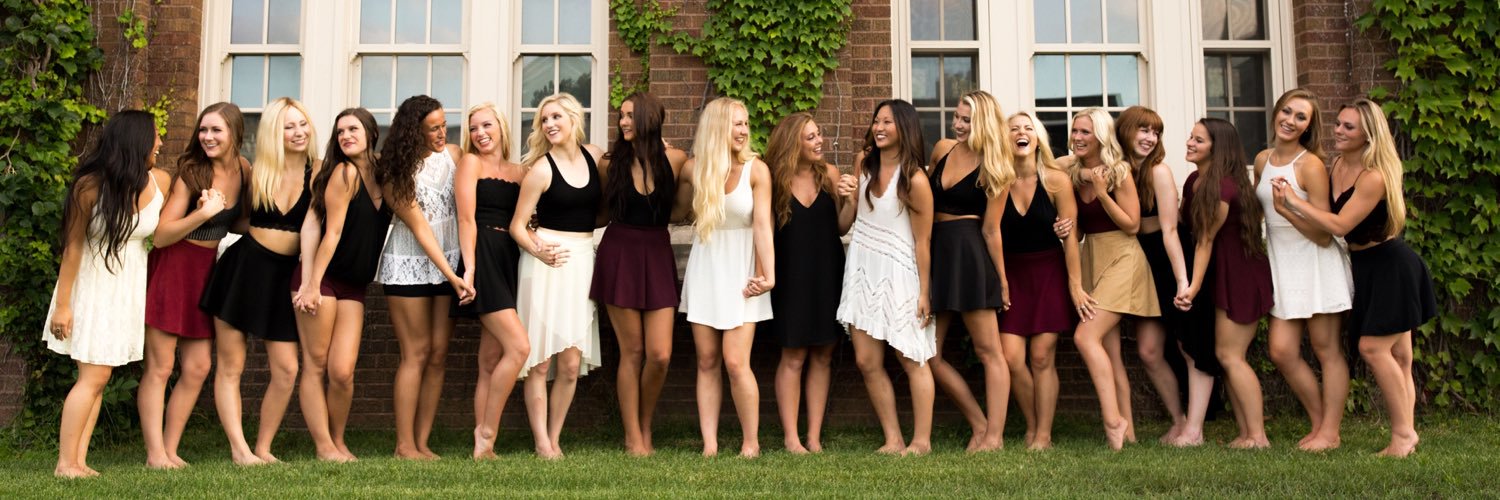 UofMDanceTeam banner