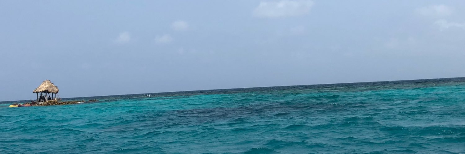 DanielxOrtega's profile banner image