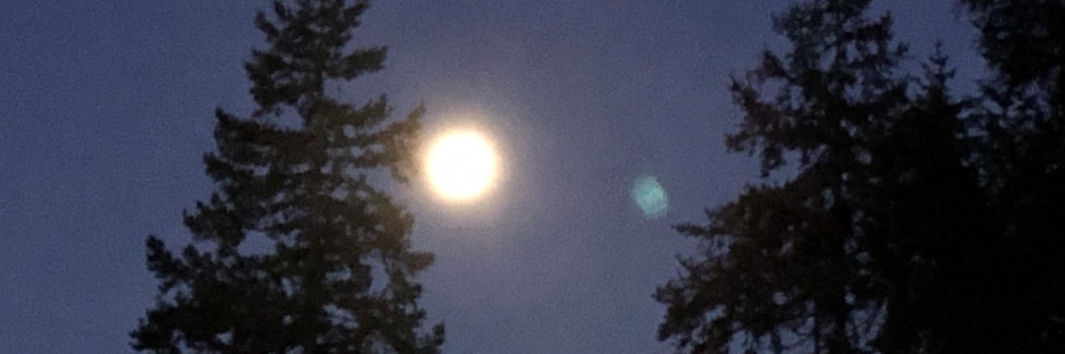 Wayne Koberstein banner