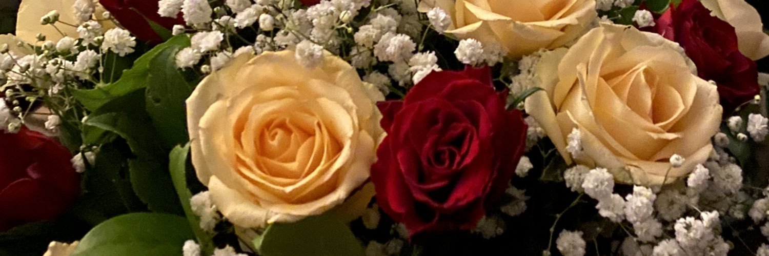 Camille__Bonnin's profile banner image