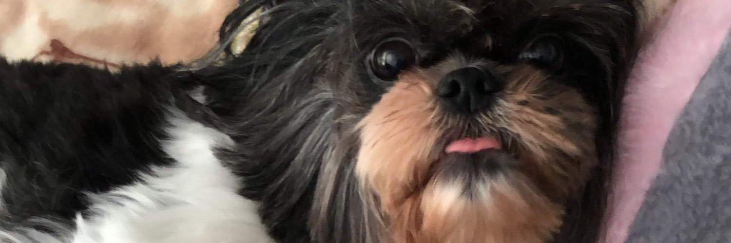 nataliacerquei5's profile banner image