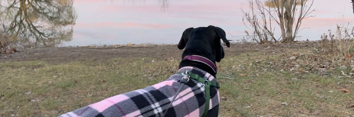 Madison1117's profile banner image