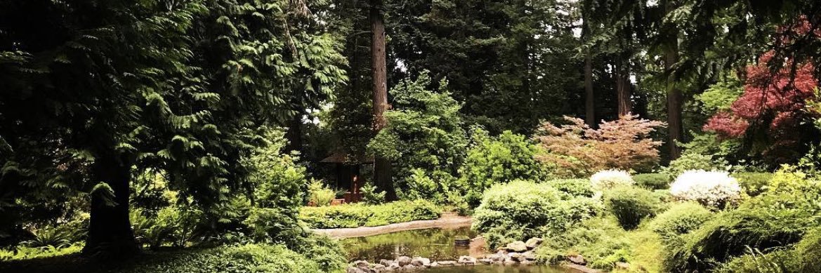 Jessiemares's profile banner image