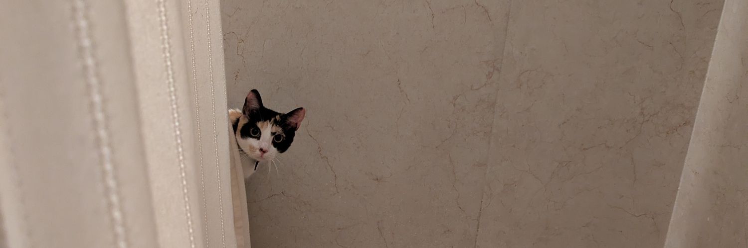 magg167's profile banner image