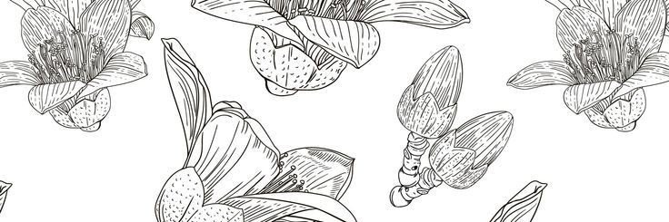 Joe_Ndirangu's profile banner image